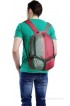 Fastrack 14 inch Laptop Backpack(Red)